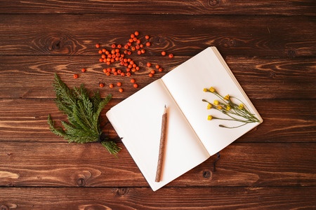 blank white notebook and berries-32147009_s
